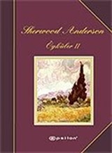 Sherwood Anderson Öyküler 2