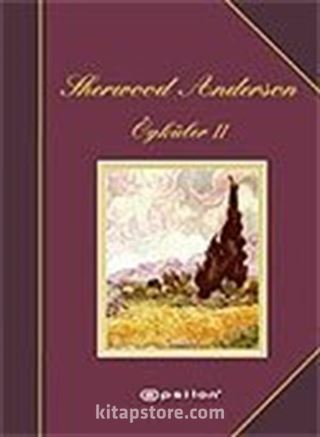 Sherwood Anderson Öyküler 2