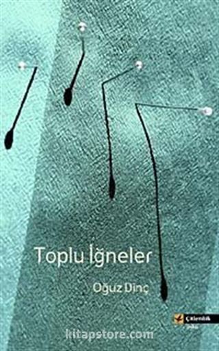 Toplu İğneler