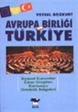 Avrupa Birliği ve TürkiyeSiyasal Kurumlar Çıkar GruplarıKamuoyu Ortaklık Belgeleri