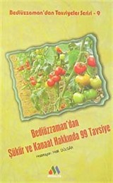 Bediüzzaman'dan Şükür ve Kanaat Hakkında 99 Tavsiye / Bediüzzaman'dan Tavsiyeler Serisi-9