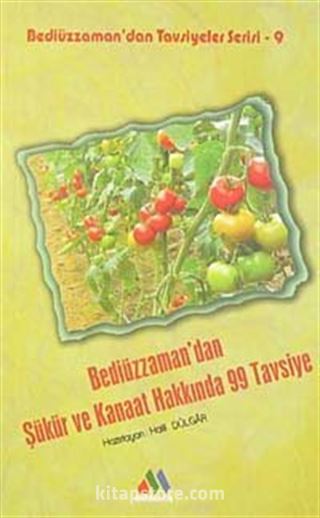 Bediüzzaman'dan Şükür ve Kanaat Hakkında 99 Tavsiye / Bediüzzaman'dan Tavsiyeler Serisi-9