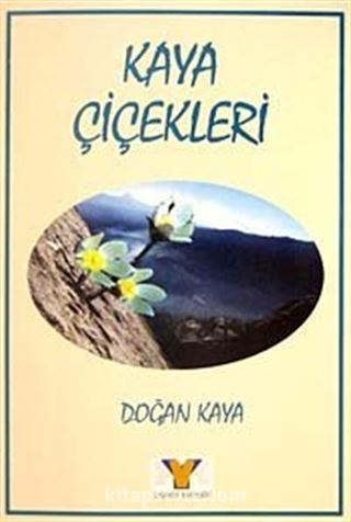 Kaya Çiçekleri