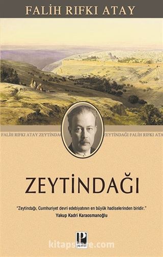 Zeytindağı (Cep Boy)