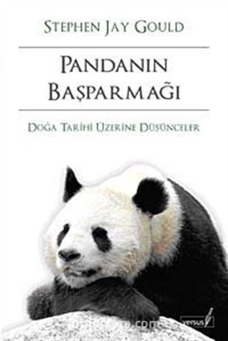 Pandanın Başparmağı