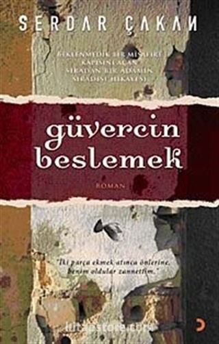 Güvercin Beslemek