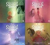 Sinan At Biniyor Serisi (4 Kitap)