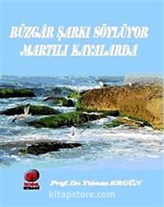 Rüzgar Şarkı Söylüyor Martılı Kıyılarda