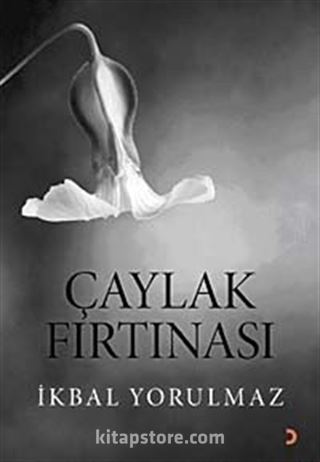 Çaylak Fırtınası