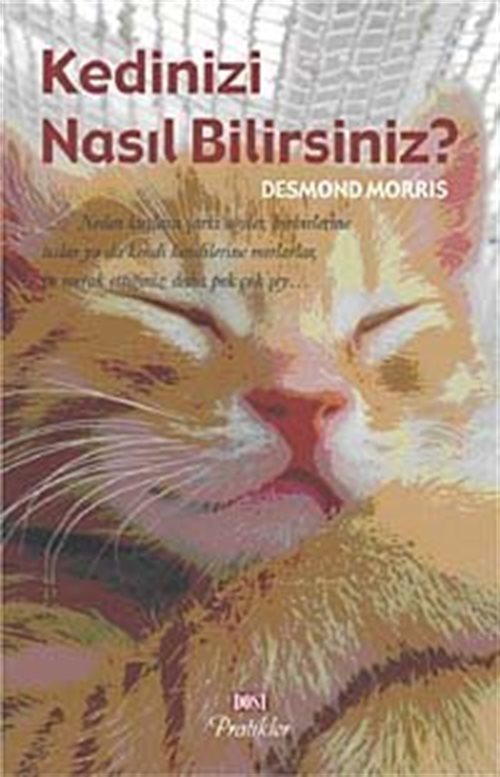 Kedinizi Nasıl Bilirsiniz?