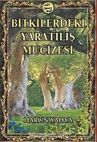 Bitkilerdeki Yaratılış Mucizesi