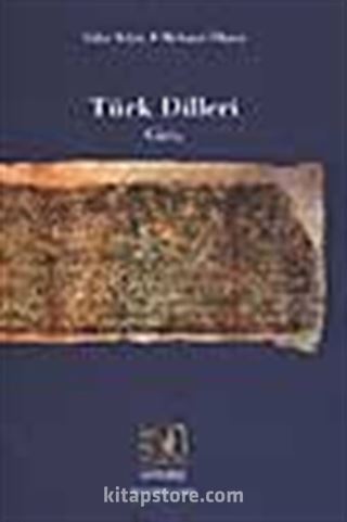 Türk Dilleri