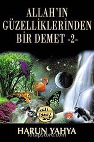 Allah'ın Güzelliklerinden Bir Demet -2-