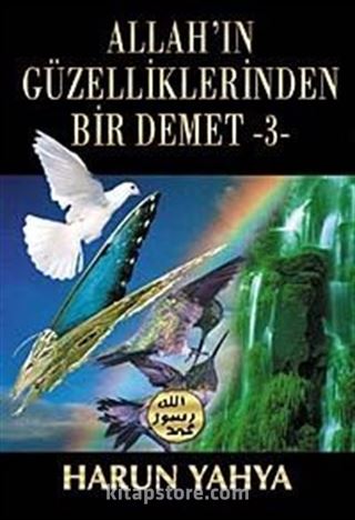 Allah'ın Güzelliklerinden Bir Demet -3-