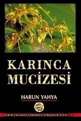 Karınca Mucizesi