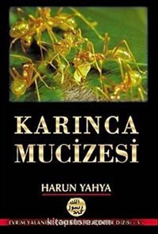 Karınca Mucizesi