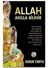 Allah Akılla Bilinir