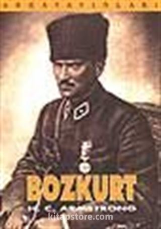 Bozkurt