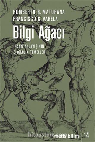 Bilgi Ağacı