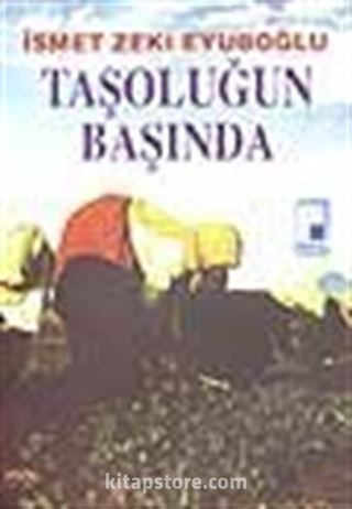 Taşoluğun Başında