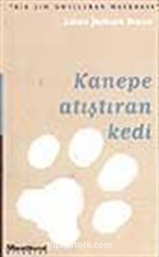 Kanepe Atıştıran Kedi