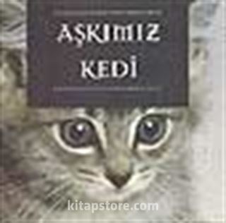 Aşkımız Kedi