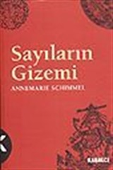 Sayıların Gizemi