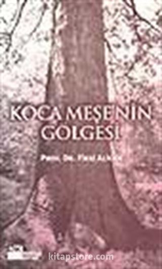 Koca Meşe'nin Gölgesi