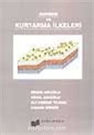 Deprem ve Kurtarma İlkeleri