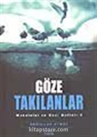 Göze Takılanlar / Makaleler ve Gezi Notları 2