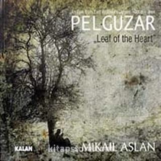 Pelguzar