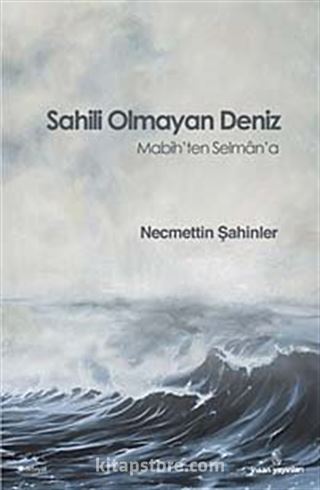 Sahili Olmayan Deniz