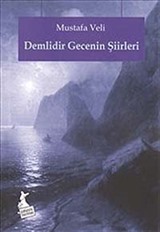 Demlidir Gecenin Şiirleri