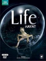 Hayat / Life (4 DVD)