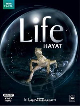 Hayat / Life (4 DVD)