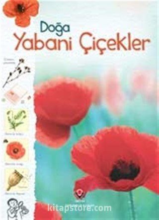 Doğa-Yabani Çiçekler