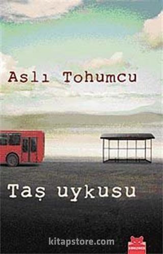 Taş Uykusu