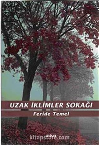 Uzak İklimler Sokağı