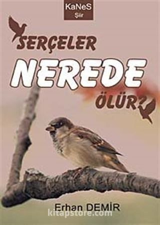 Serçeler Nerede Ölür?