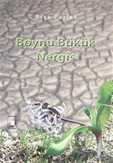 Boynu Bükük Nergis