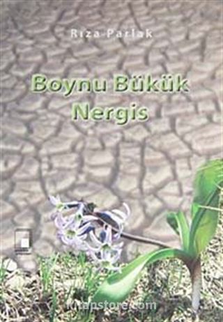 Boynu Bükük Nergis