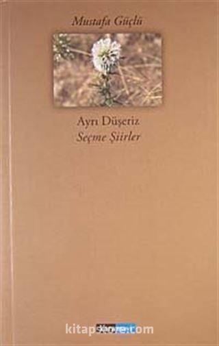 Ayrı Düşeriz - Seçme Şiirler