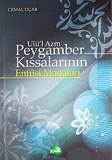 Ulü'l Azm Peygamber Kıssalarının Enfüsi Manaları