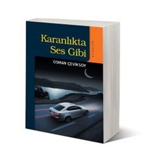 Karanlıkta Ses Gibi