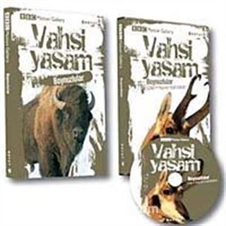 Vahşi Yaşam - Boynuzlular (Dvd Ekli)