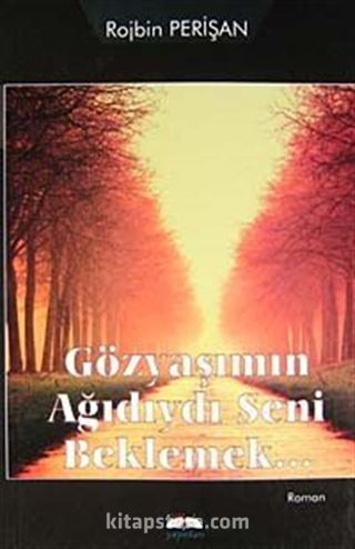 Gözyaşımın Adıydı Seni Beklemek