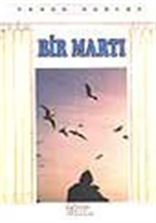 Bir Martı