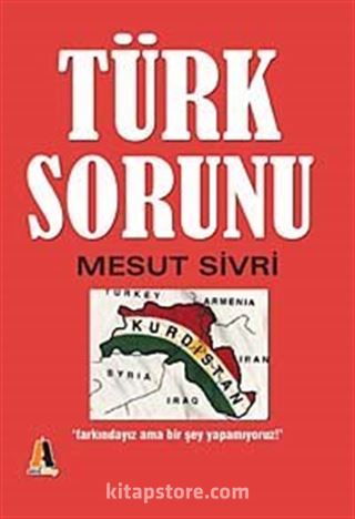 Türk Sorunu