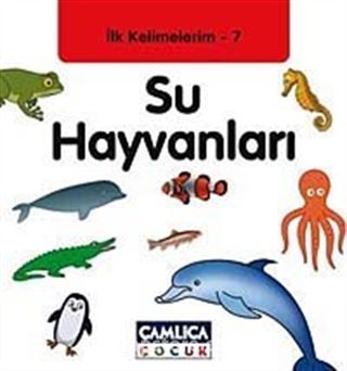 Su Hayvanları / İlk Kelimelerim-7