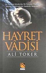 Hayret Vadisi